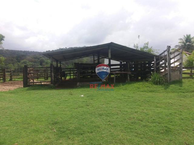 Re/max chave de ouro vende fazendas nas margens do rio buranhém - Foto 16