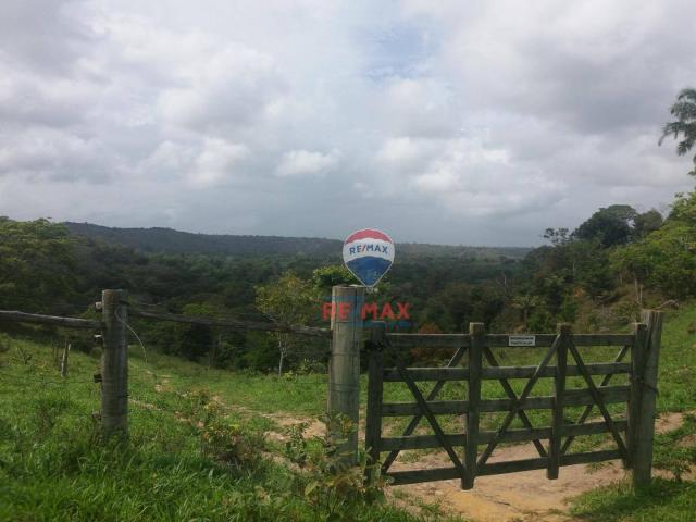 Re/max chave de ouro vende fazendas nas margens do rio buranhém