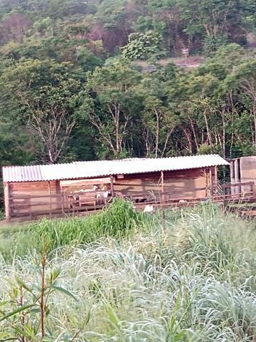 Ágio de chácara próximo Abadiânia velha - Foto 6