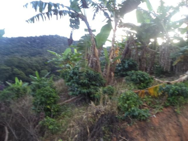 Marechal - Foto 5