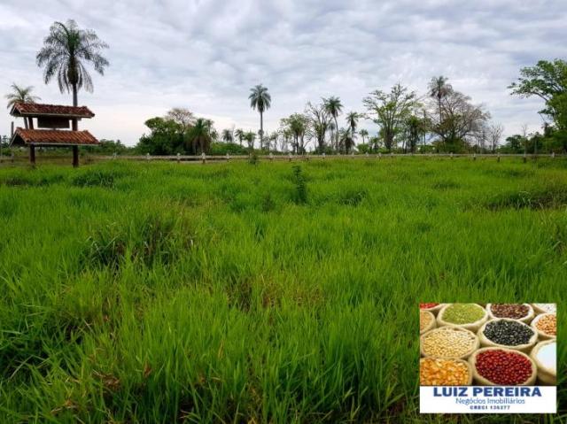 FAZENDA A VENDA DE 5.159 hECTARES EM BONITO - MS (Dupla aptidão) - Foto 10