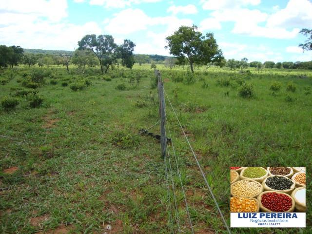 FAZENDA A VENDA de 100 HECTARES EM TERENOS - MS - (Pecuária) - Foto 5