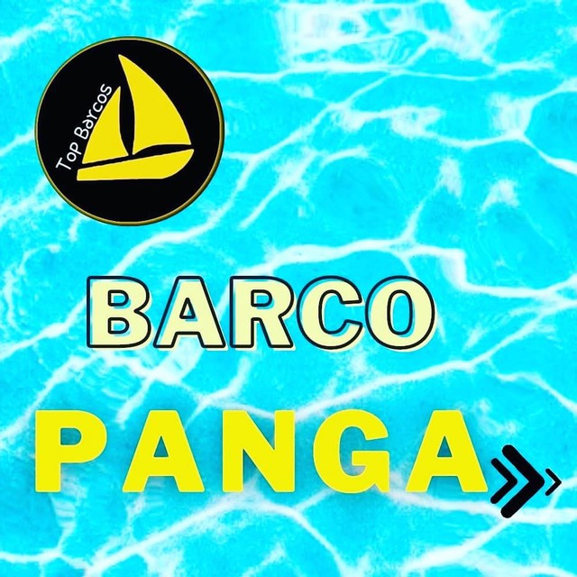 Barco Panga - Foto 2