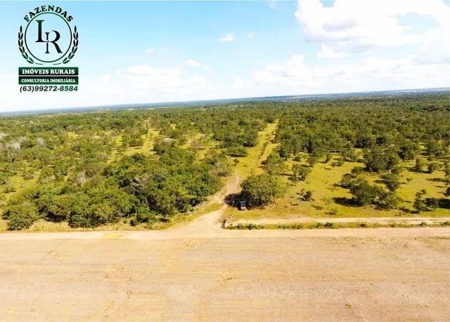 Fazenda 100 Alqueires  vale do Araguaia - Foto 3