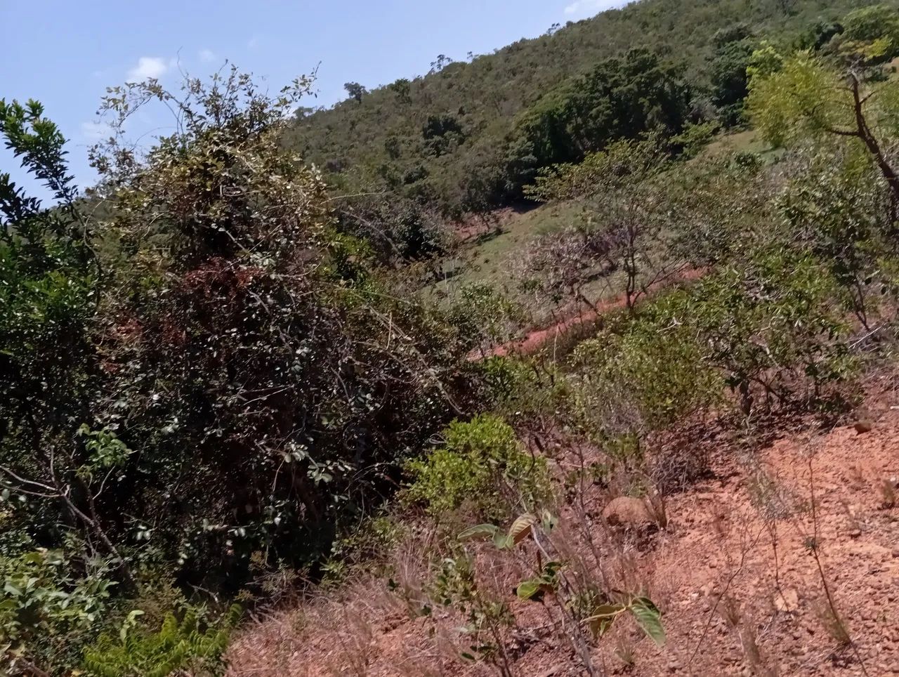 Área 25.000 M²...Todo Cercado...25 Minutos Major Prates....24.900.00 - Foto 4