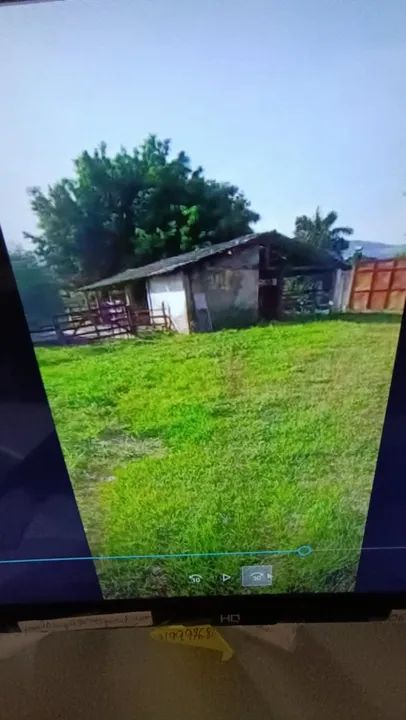 Gleba de terra com 26.000 m ² - Foto 4