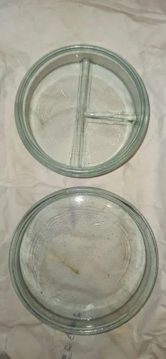 Placa de Petri Vidro Incolor 3 Divisórias