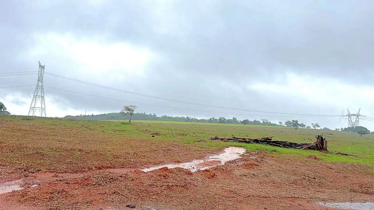 Fazenda própria pra café ?  - Foto 4