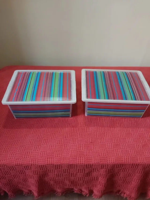 DUAS CAIXAS ORGANIZADORAS DE 17 LITROS SÃO BERNARDO. 