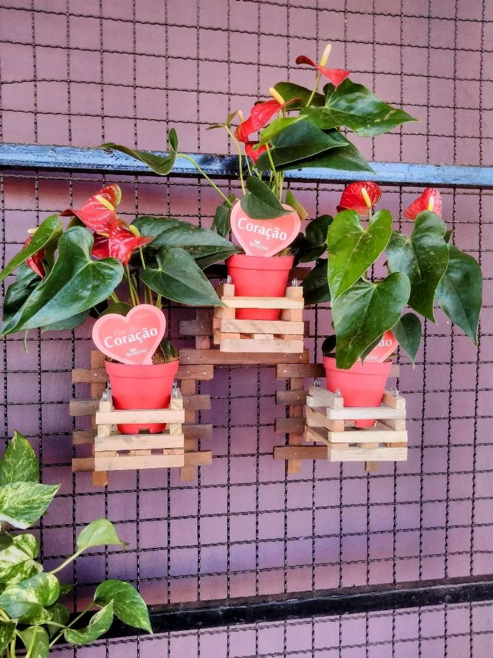 PAINEL DE MADEIRA PARA PLANTAS  - Foto 4