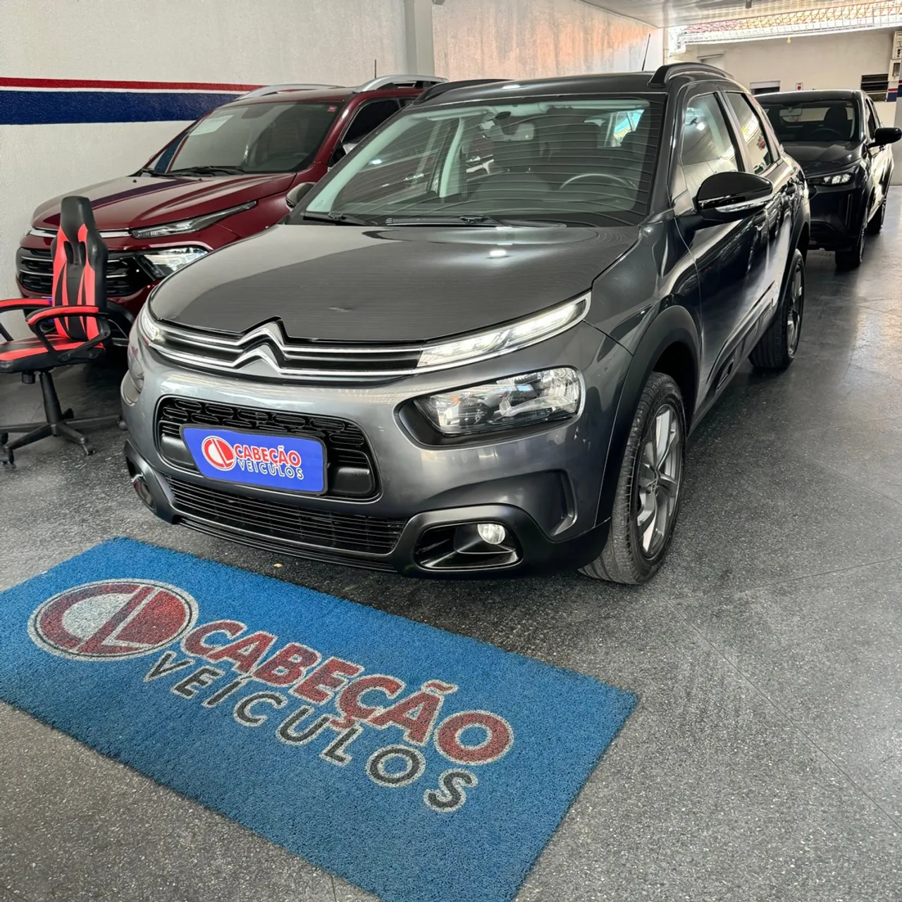 C4 Cactus 2022