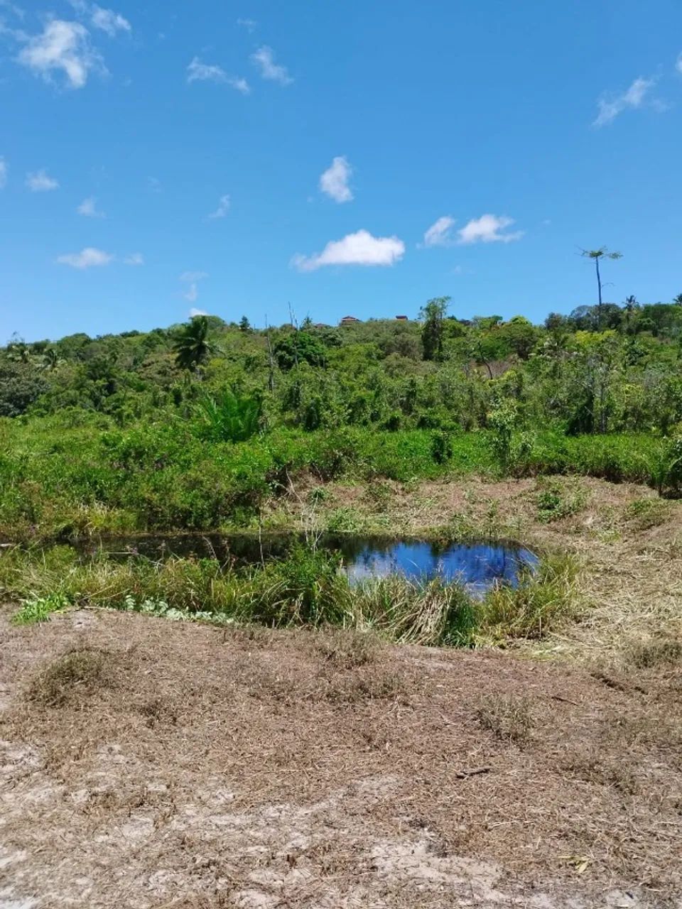 Vendo - Lote - Murado - Barra de Pojuca - Foto 2
