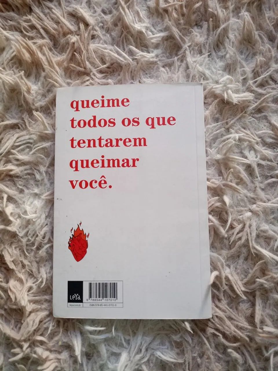 LIVRO: a bruxa não vai para a fogueira neste livro - Foto 3
