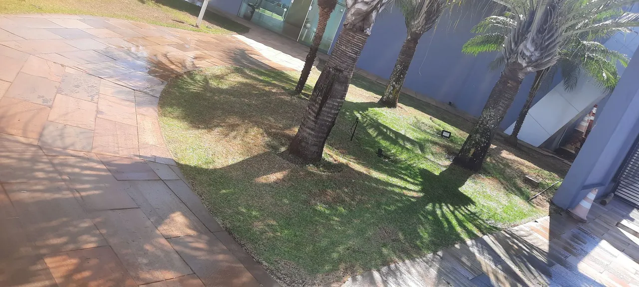Limpeza de terreno e jardinagem 
