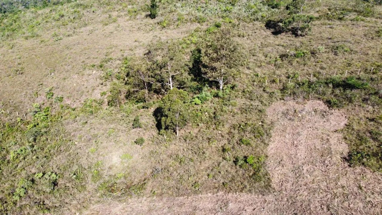 Ds(Terras um investimento que vc não erra - Foto 15