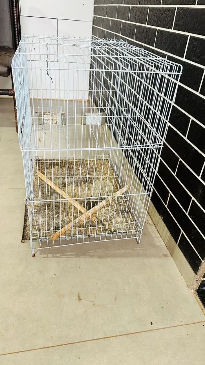 Gaiola usada - Foto 2