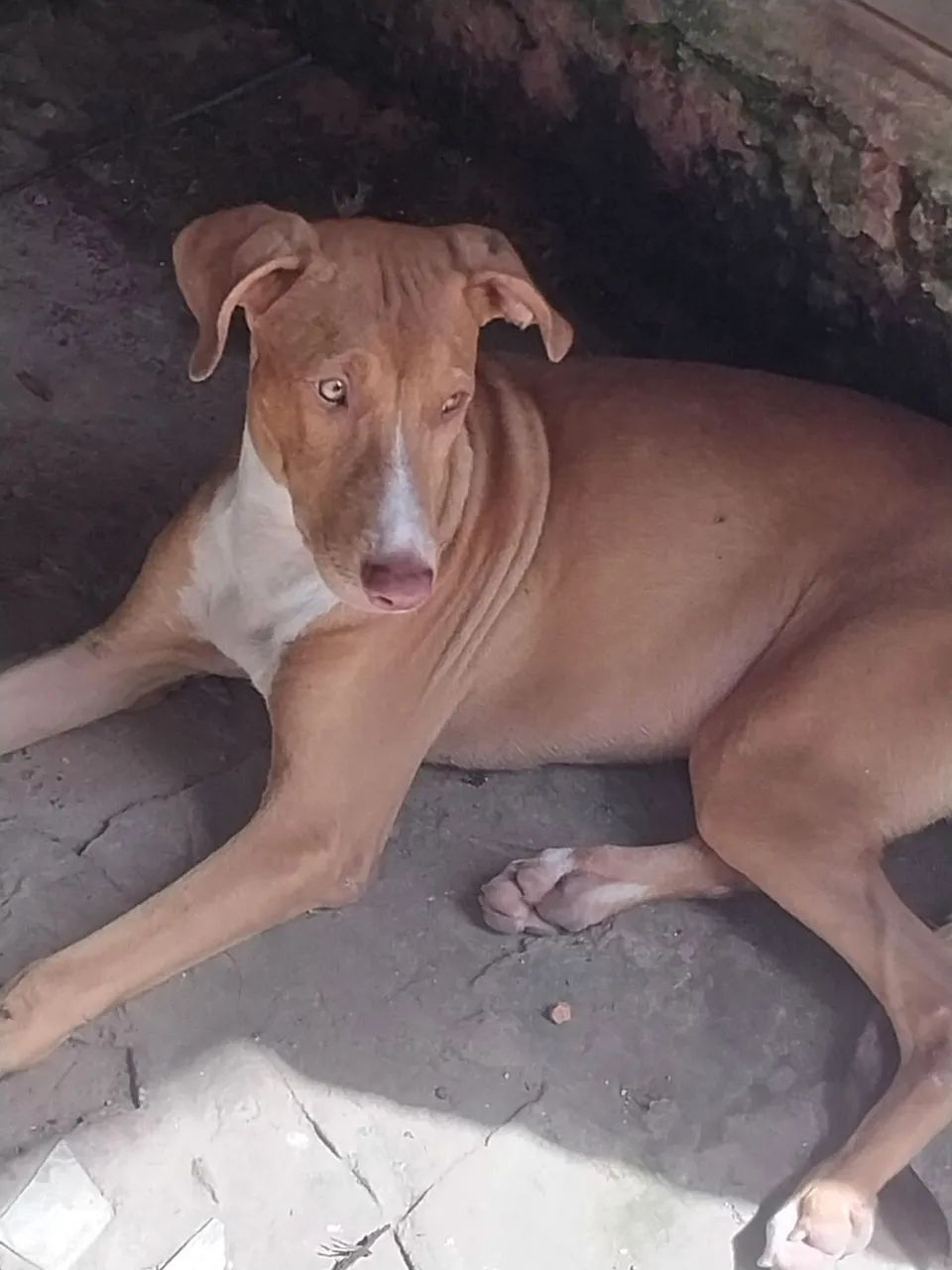 Doação responsável 
