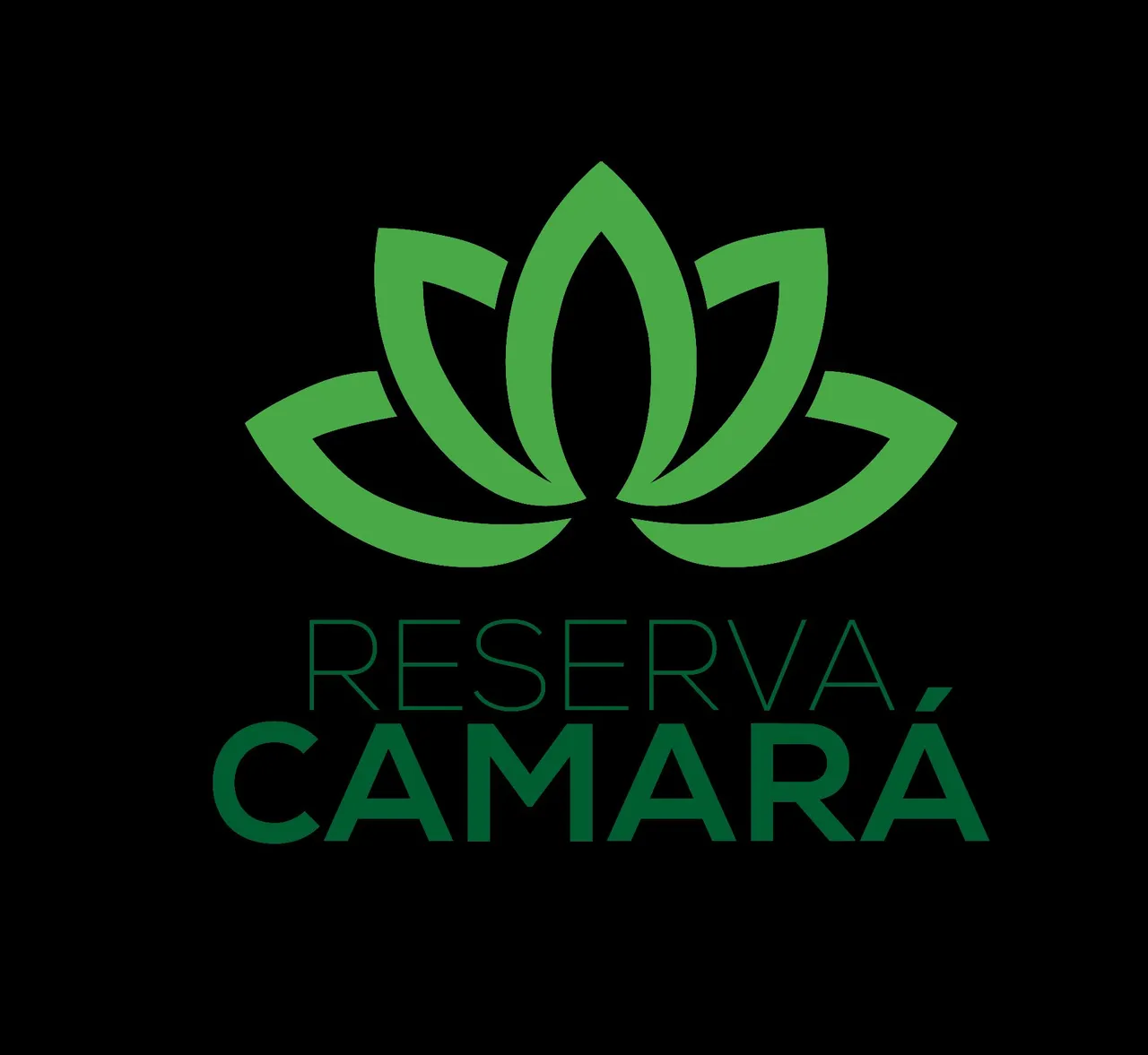Lote Comercial Reserva Camará 