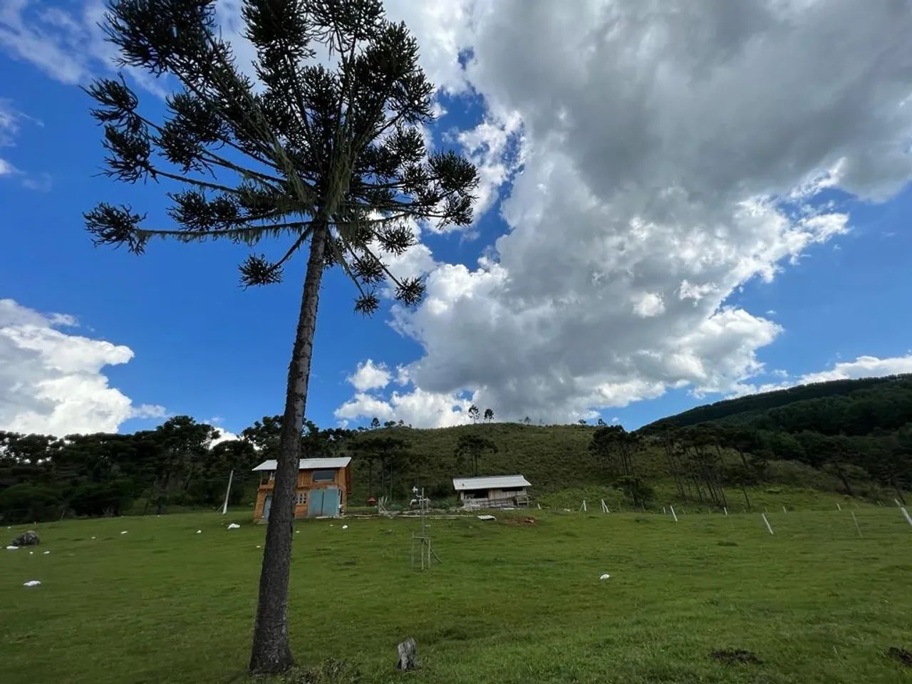 Fazenda/Sítio/Chácara na região do pericó/ Urubici/pericó - Foto 4