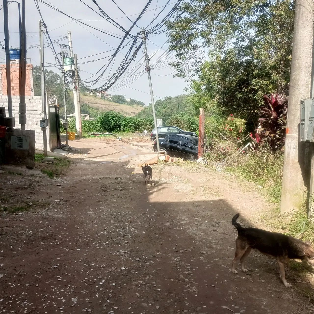 Foto - Guarulhos - Jardim Fortaleza