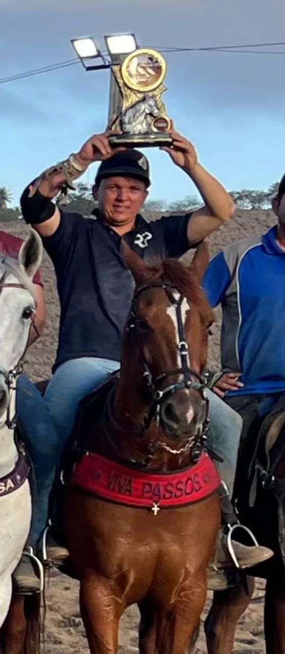 Cavalo de direita quarto de milha  - Foto 4