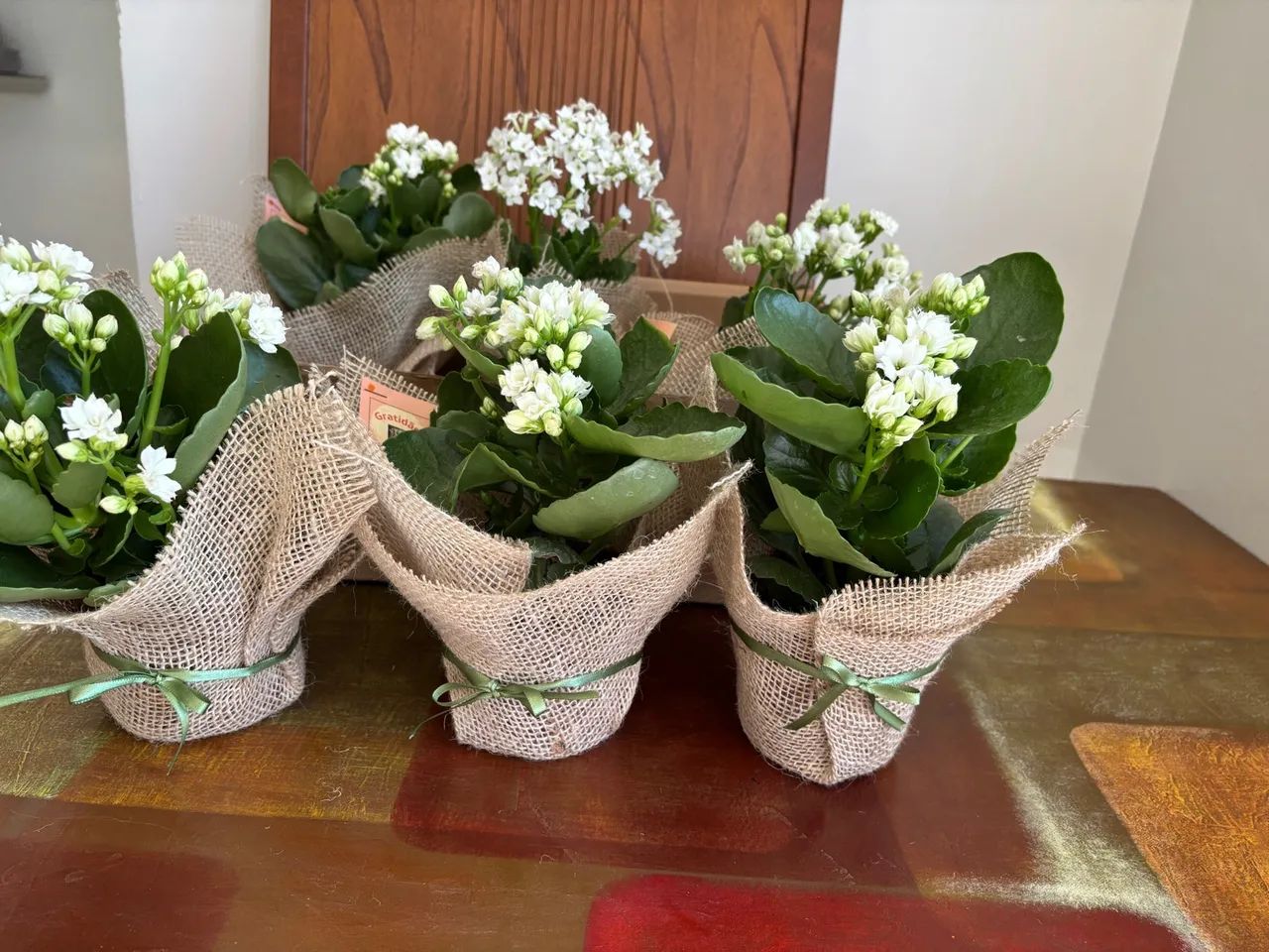 Arranjos naturais para decoração de mesas e lembranças  - Foto 2