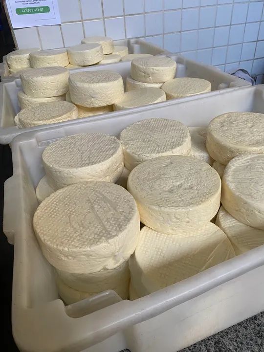 Queijo artesanal fresco