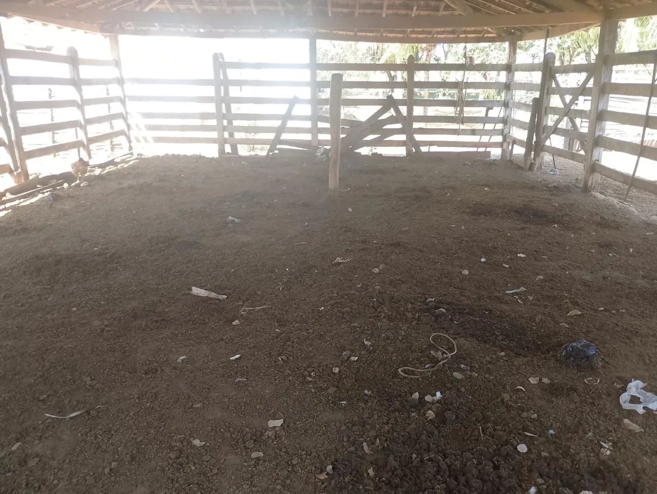 VENDO ESTERCO DE GADO PARA SUA PLANTAÇÃO 