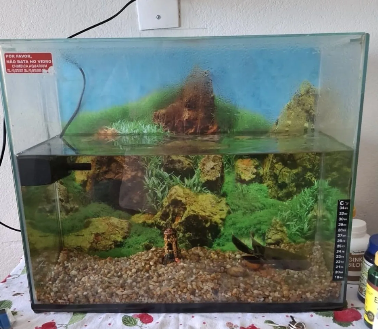 Aquário completo com decoração