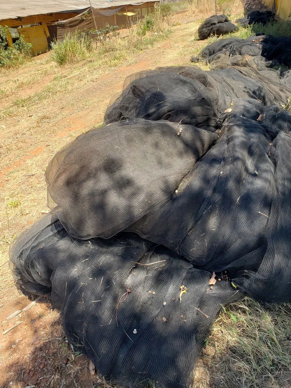 Tela para uva - Foto 3