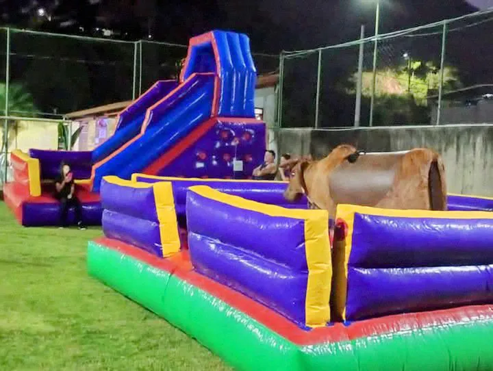 Brinquedos Infláveis para Diversão em Festa!