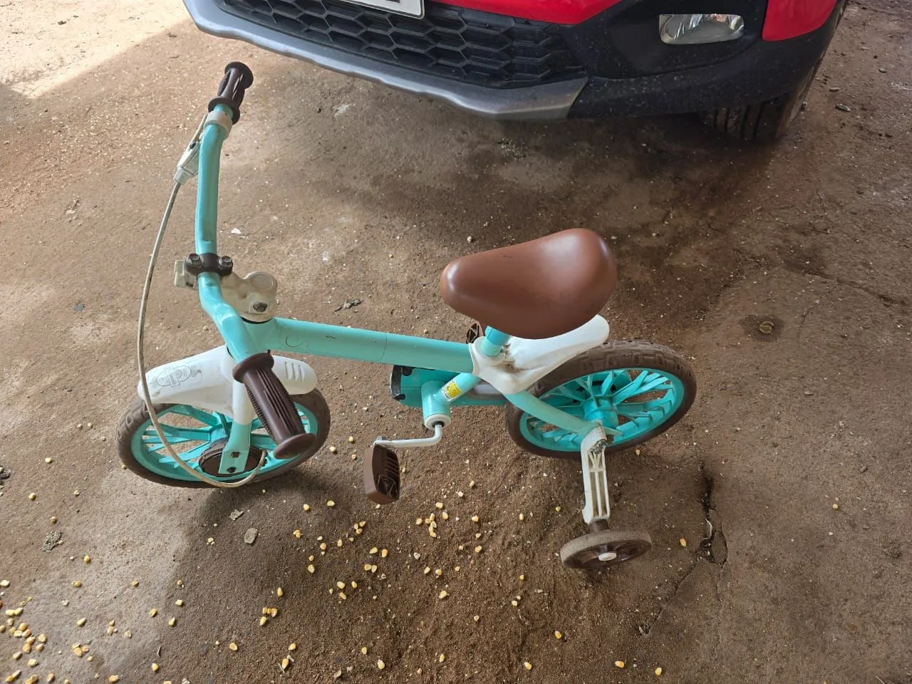 Bicicleta Infantil com Rodinhas