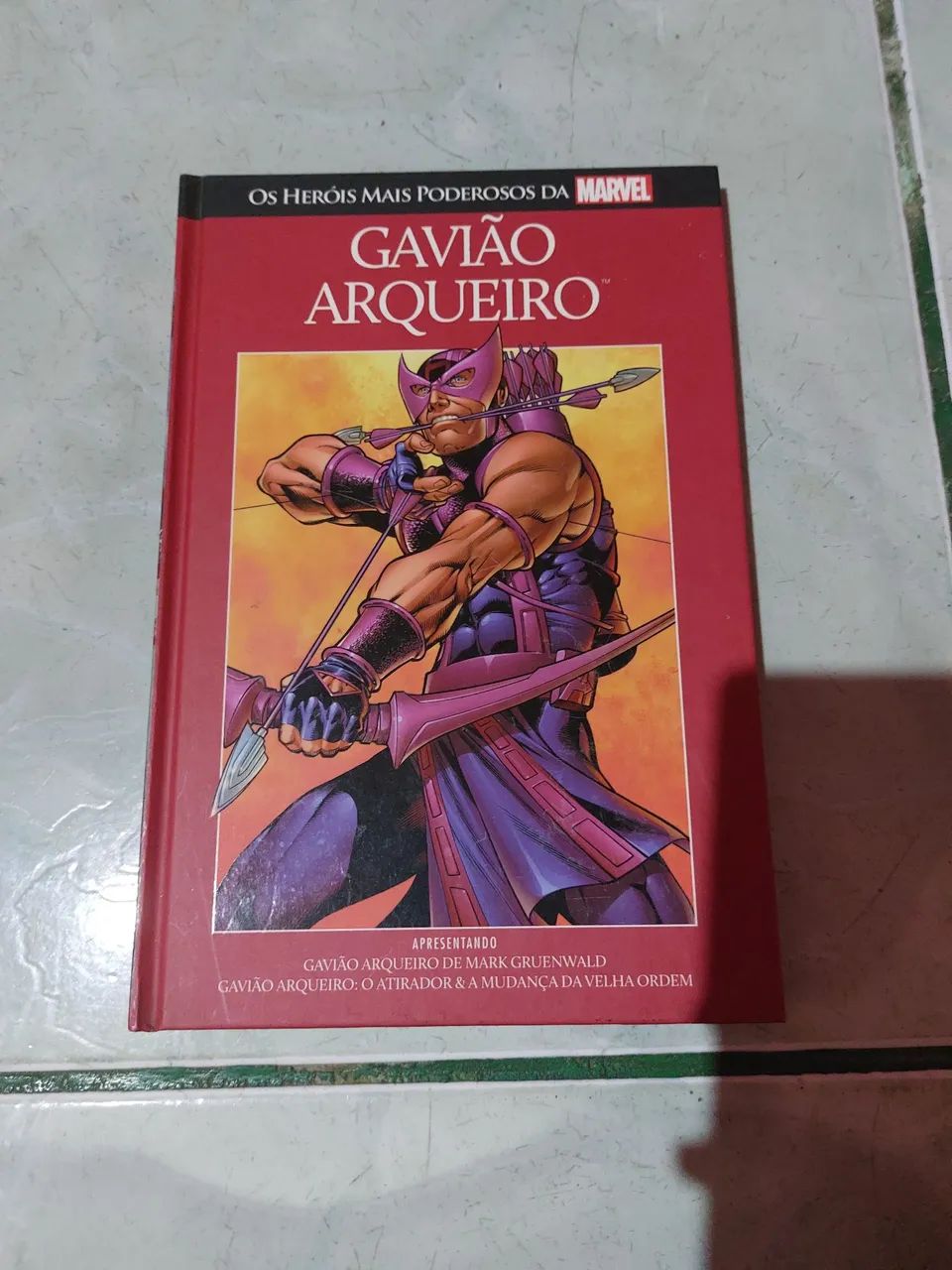 Gavião arqueiro Hq