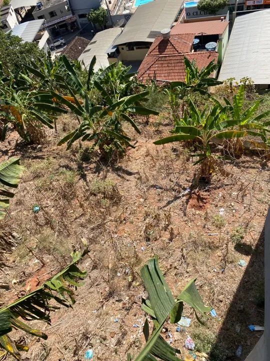 Terreno com vista espetacular! - Foto 3