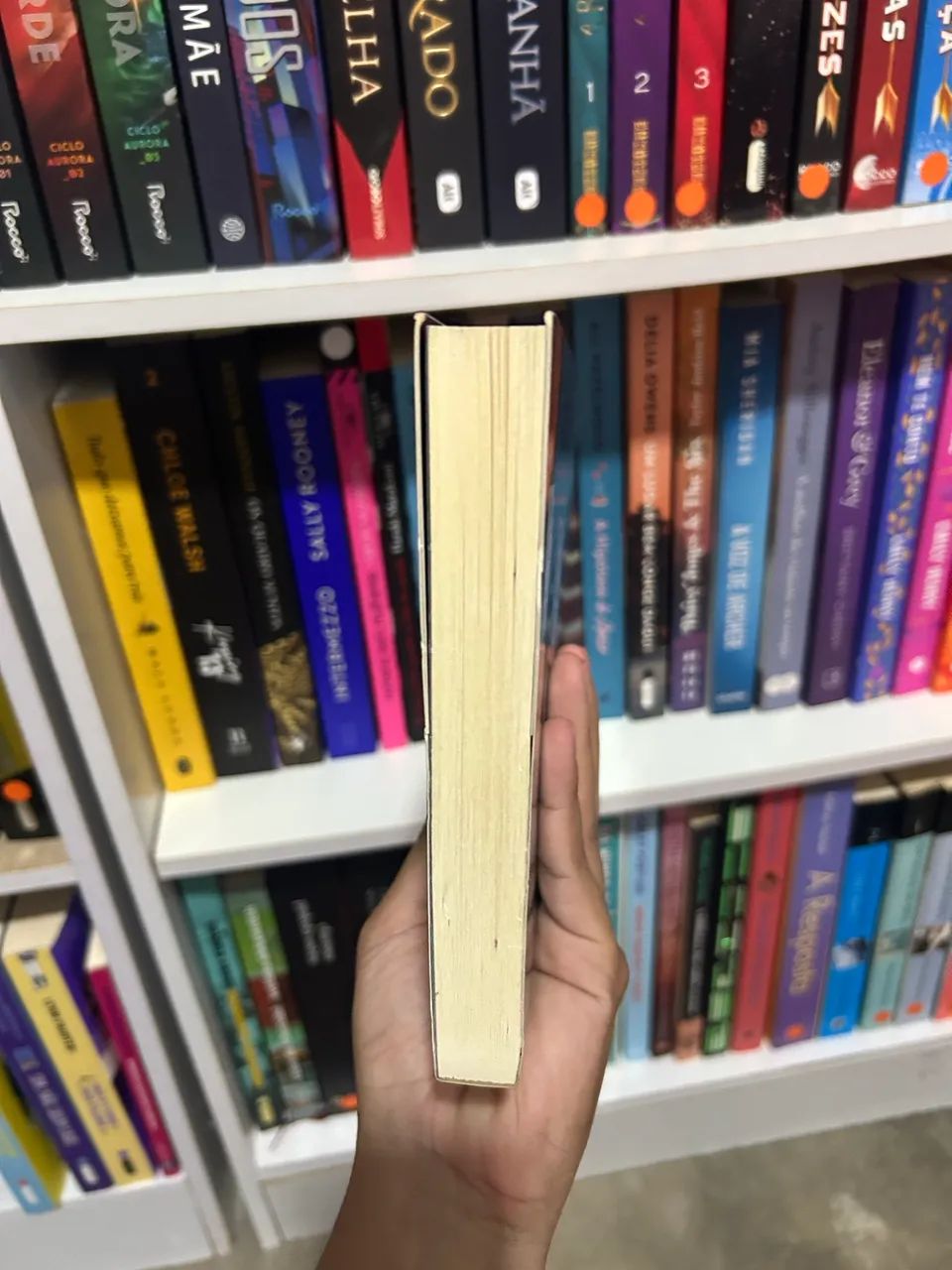 A revolução dos bichos - George Orwell - Foto 5