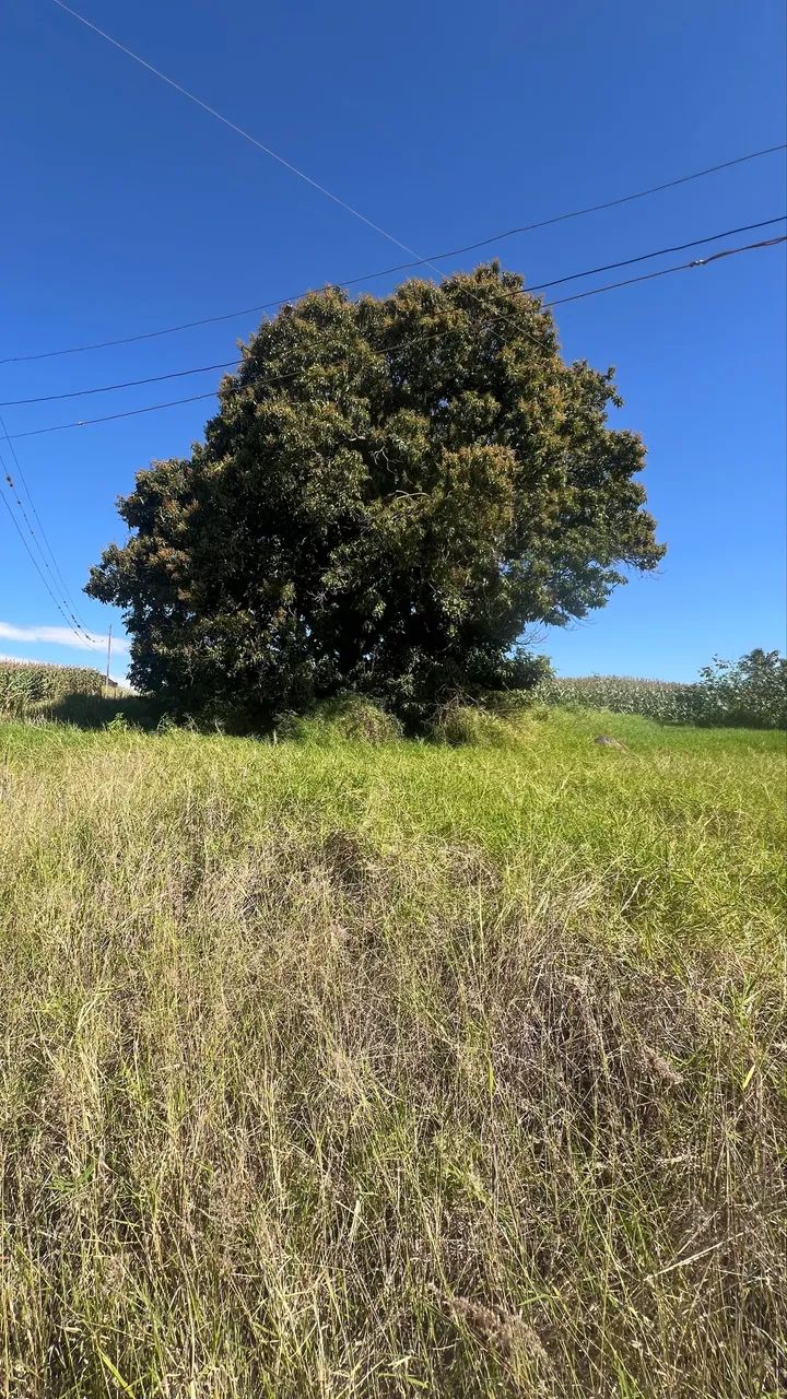 Sítio em Marialva Pr. - Foto 2