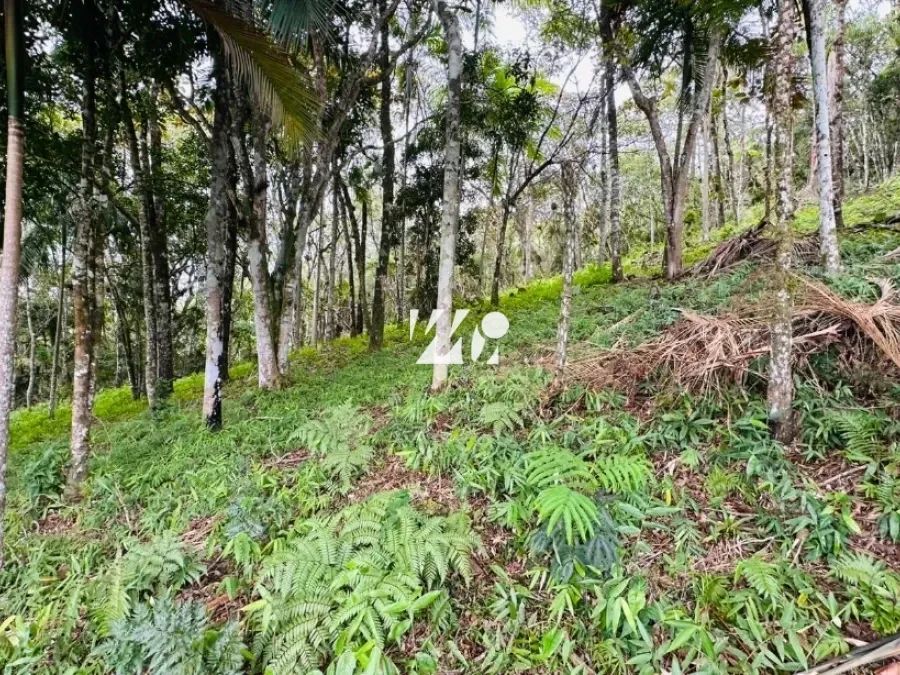 Terreno no Condomínio Rural Village Imperatriz - imv