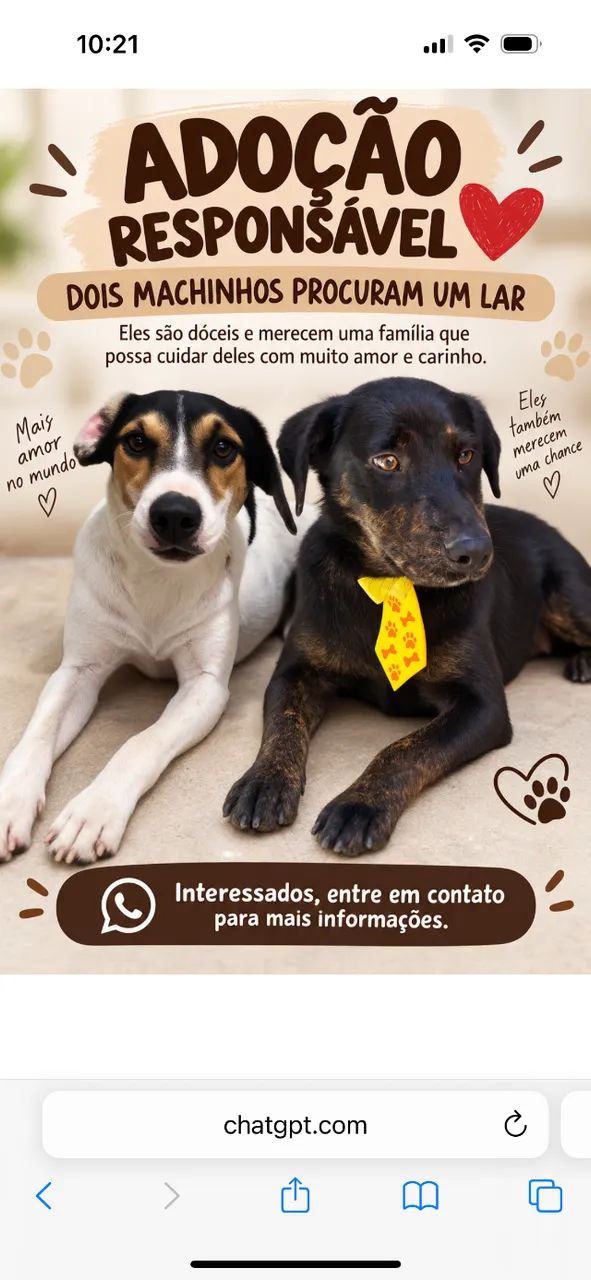 Adoção responsável 