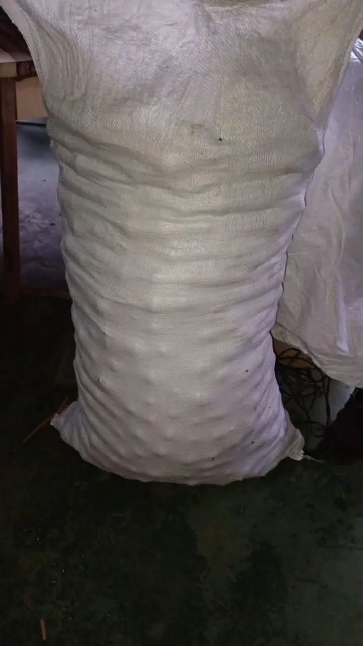 Saca de tucumã do Rio Negro R$180