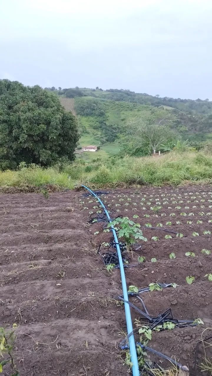 Sitio em Alagoa Nova  - Foto 5