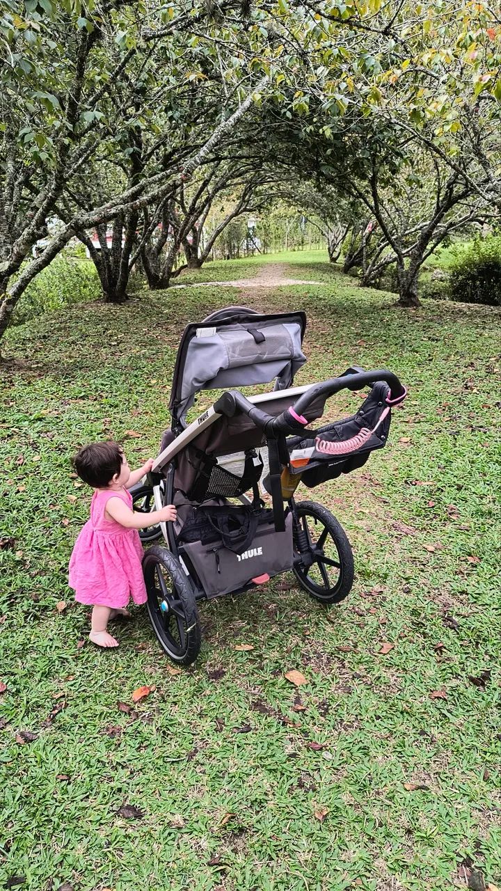 Carrinho de bebê Thule  - Foto 2