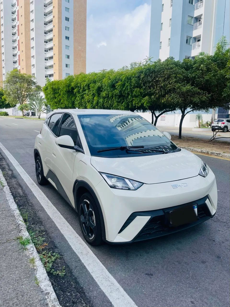 BYD Dolphin Mini (Elétrico) 2025 - Foto 3