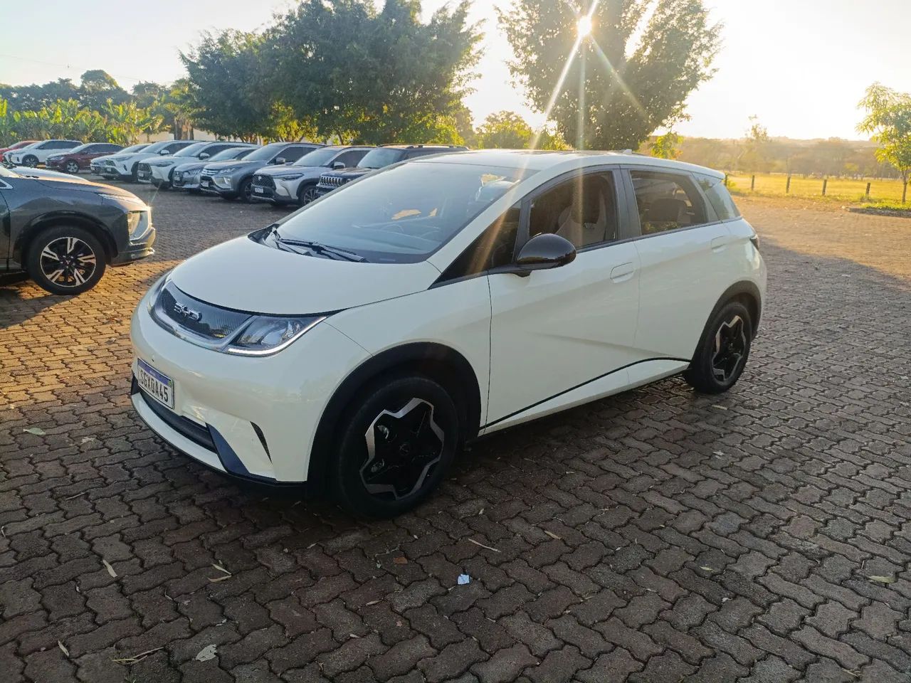 BYD Dolphin EV (Elétrico) 2024 - Foto 2