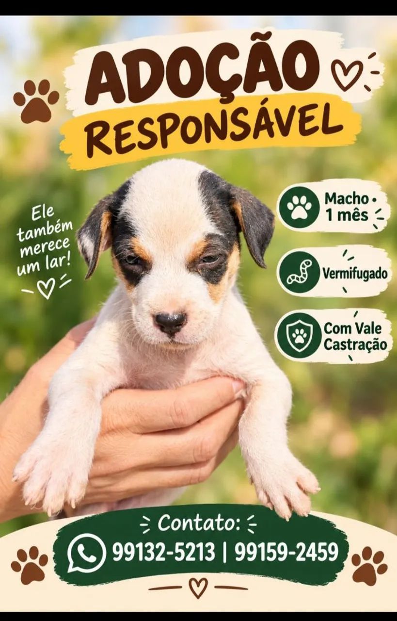 Adoção responsável 