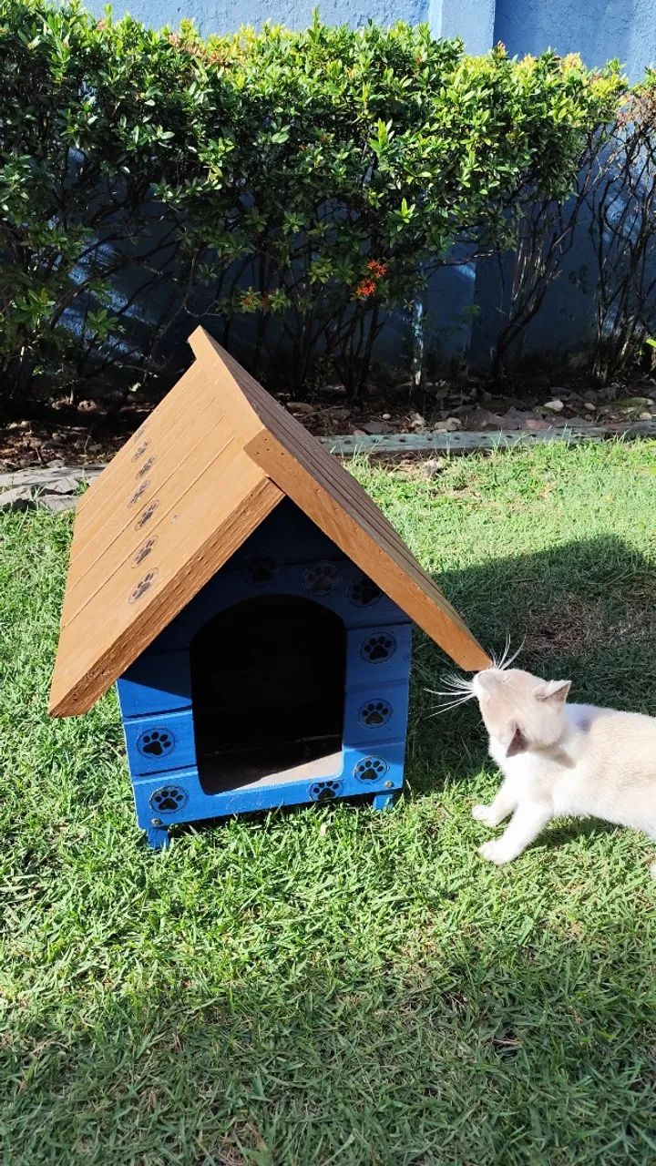 Casinha de Madeira para Pet - Foto 4