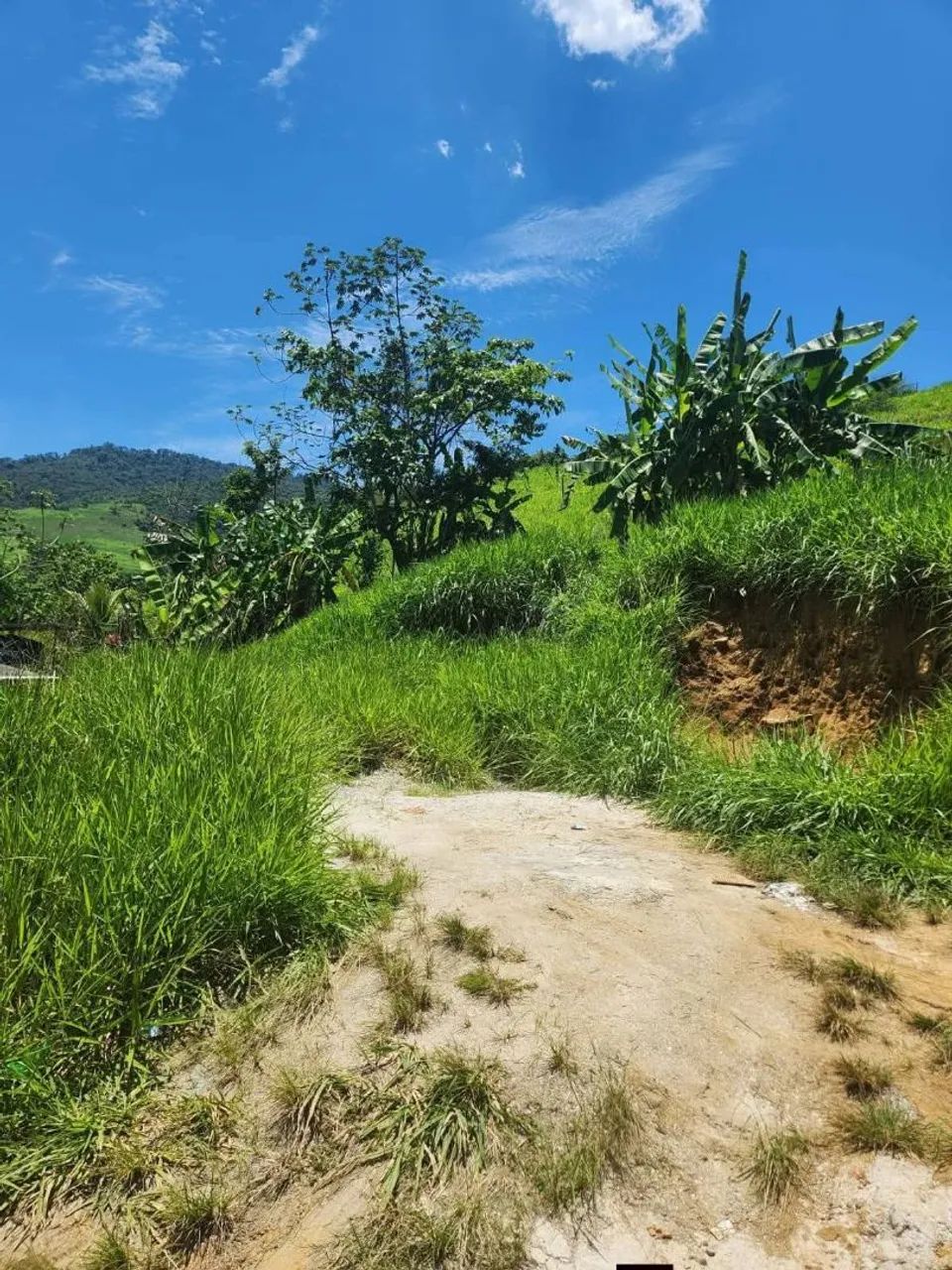 Vendo terreno na Ingaiba  - Foto 3