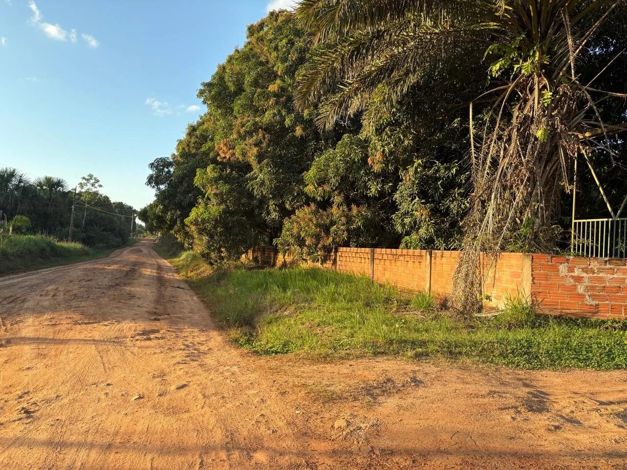 Chácara no ramal do Moreira  - Foto 2