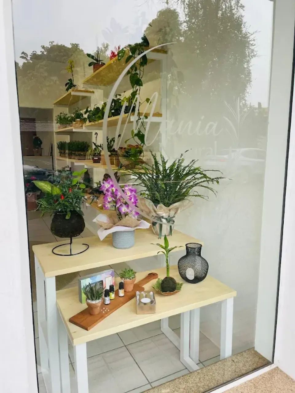 VENDA DE FLORICULTURA E LOJA DE PRESENTES COMPLETA - CENTRO DE POMERODE - Foto 2