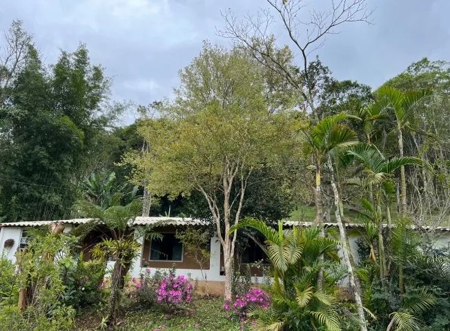 Sítio lindo 35mil m2 - Foto 5