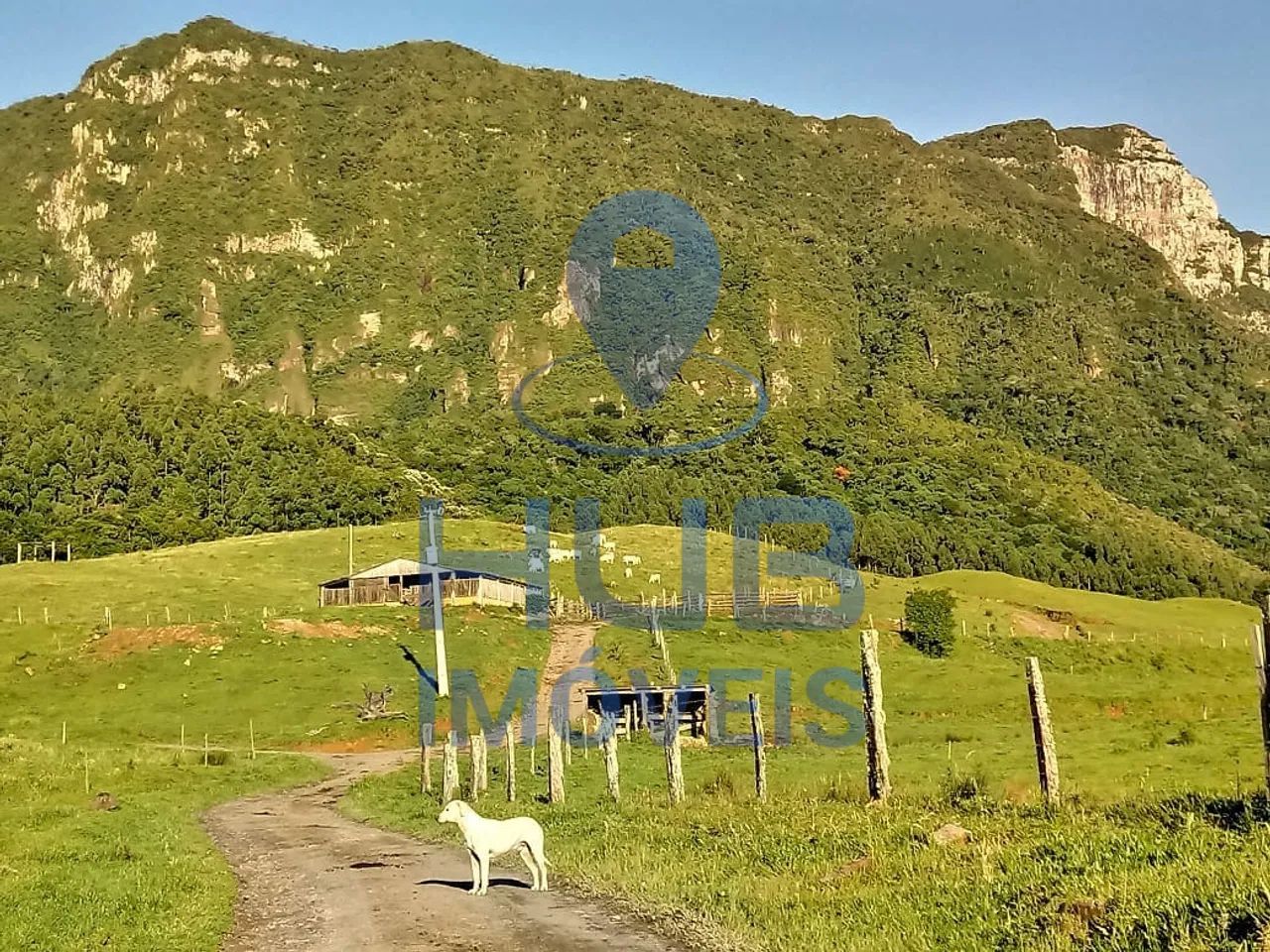 Sítio à Venda, Santa Rosa de Lima/SC - Foto 5